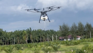 Drone
